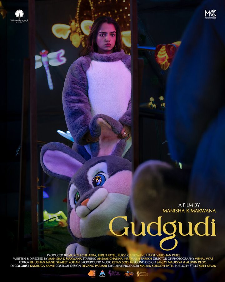 Poster for Gudgudi