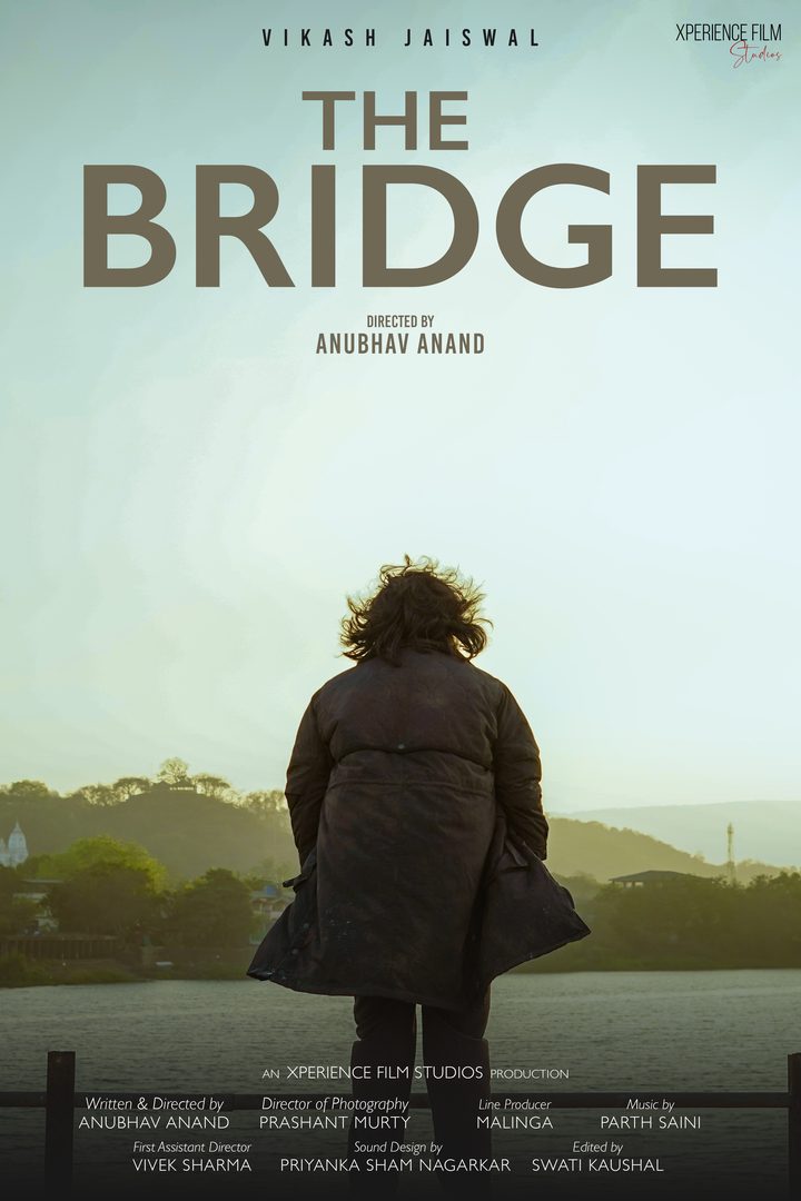 Poster for The Bridge